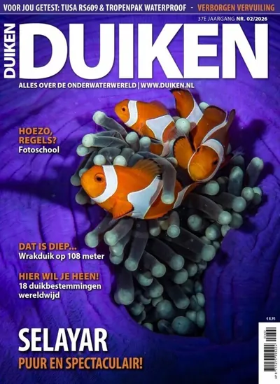 Cover van Duiken