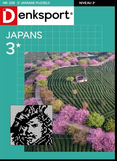 Cover van Japanse puzzels 3*