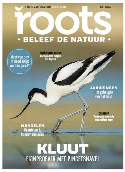 Cover van Roots